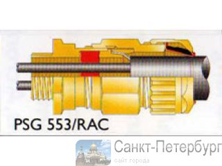   PSG 553/RAC. -