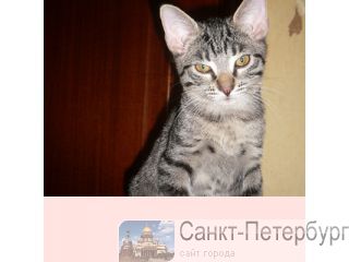  - 3  -