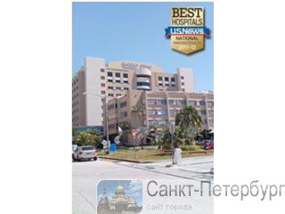 Translators,  , Mount Sinai, ,   ,  