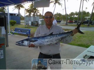  ,    , fishing, Miami , 