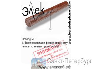       (   ) -