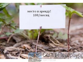 Сдаю в аренду территорию 1000м2 Спб Санкт-Петербург