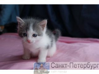    1.5 ! -