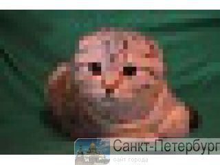    -, 