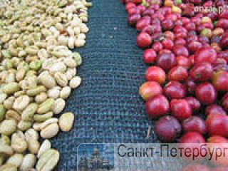         SHG Natural Santa Rita -