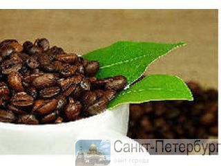         Mogiana, NY 2, sc. 17/18, Arara Azul,  fine cup -