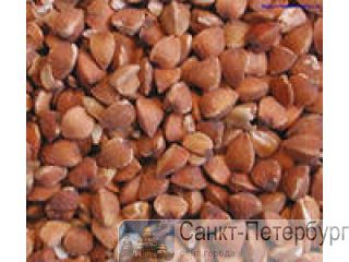         Sidamo  Grade 2 , washed  -