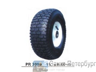  PR 3009 ,      () -