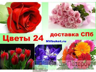    24  -