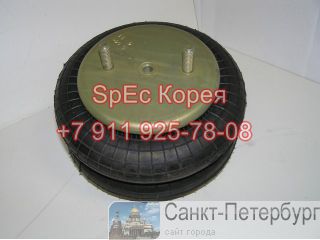    Daewoo Novus    -
