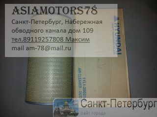    HYUNDAI 11L1-20031 R450LC3,HL35,HL760,HL770 