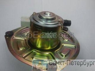 Daewoo Prima DV11    -