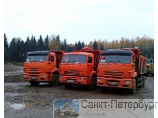     ( ),        45 -