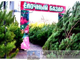Аренда на 1-й линии шоссе под елочный базар. Санкт-Петербург
