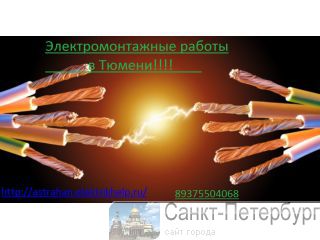 "  -  ,   