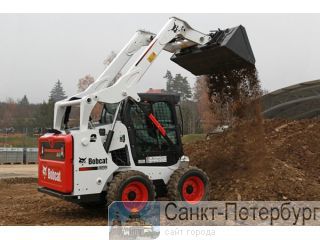  - Bobcat  - -