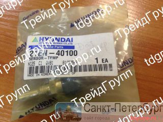 21EN-40100   Hyundai  
