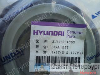 31Y1-20430    Hyundai R170w-7  