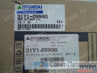 31Y1-09990    Hyundai R250LC-7  
