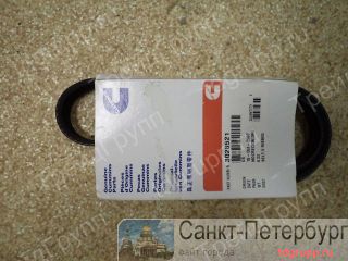 3028521   Cummins M11, QSM11, ISM, ISMe  