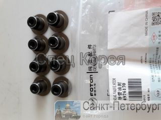   Cummins ISF2,8L - Foton 4976170 -