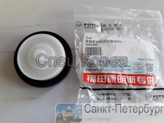   Cummins 2,8L - -