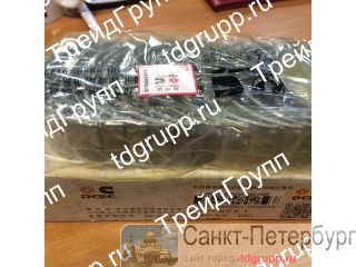 3950661/3966244 /  Cummins QSL  