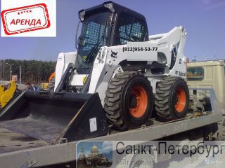  -  bobcat    - -