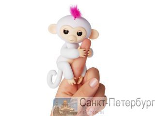   Happy Monkey  