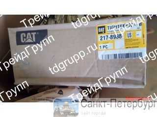 217-8938   CAT C18  