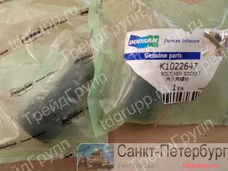 K1022647   (bolt, hex socket)  