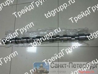 344-9038  CAT  