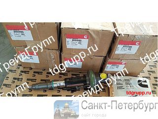 2882079   Cummins QSK19  