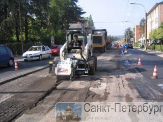  Bobcat   -