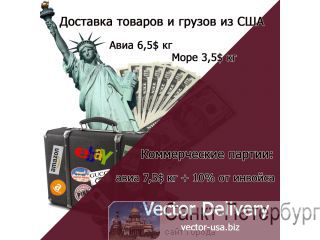 Vector        -