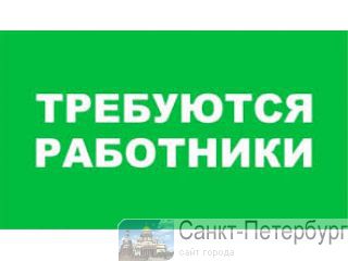    (),   ,  89531672225 -