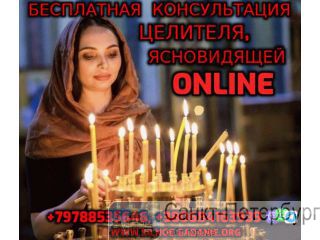  ,  +79788535646 -
