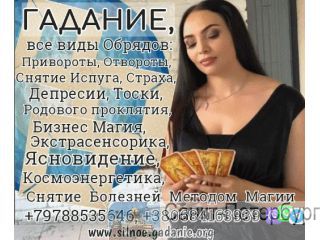   +79788535646 -