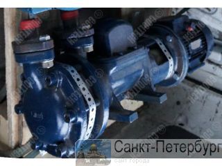   TH-WITT GP 41 / -