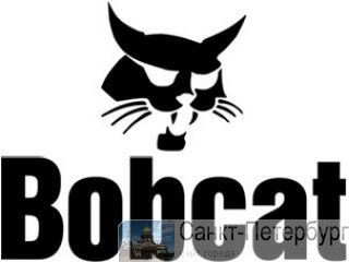   bobcat  -      -