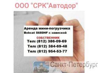 Bobcat  -    -