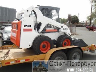  - bobcat        -