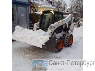   bobcat S650             -