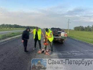 ������ ��������� ������������� ����� �� ������������ �����������