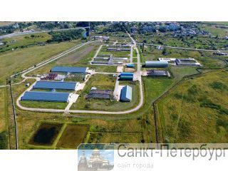 �������-�������� ����� �� 1200 ����� ������� ����� ������