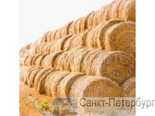 ������ ���� � ������� ������