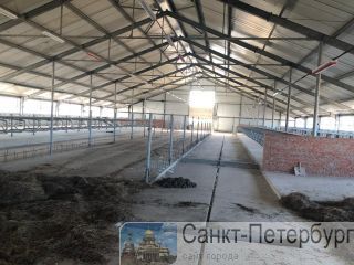 ������� �������������� Joz ������