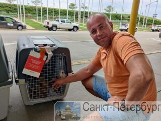 ��������� �������� � ������� � ������ �����-���������