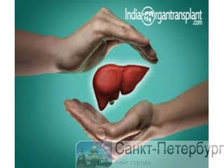 ����� �ҟ�� ����ӷ�� ��ә�ҵә� �������������� ��� ��ә��ә�| ���-������ -