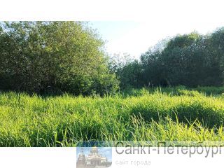 ������� 5.96 ����� ���������� ������� � 1 800 000 ���. � ��� � ���� �� ������� �����-���������